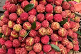 虽生如蝼蚁，当立鸿鹄之志图片