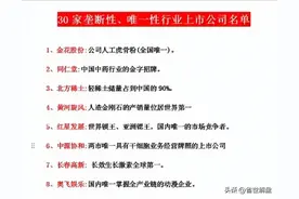 A股：仅30家最具垄断性和唯一性的上市公司，极高辨识度！图片