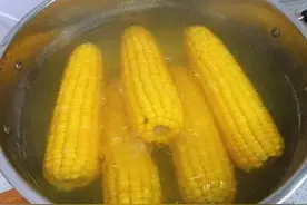 玉米芯做营养土 变废为宝图片