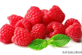 覆盆子不仅是鲁迅笔下可口的野果，更是益肾固精、养肝明目的良药图片