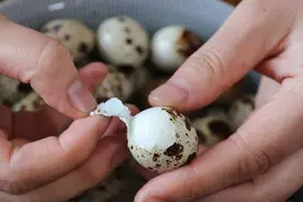 建议长斑人，多吃鹌鹑蛋，3元一大把，比燕窝养人，皮肤更水嫩图片