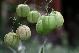 “人走霉运，必有征兆”：做人，若遇到这几种怪现象，要小心图片