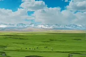 快来玩！新疆巴音布鲁克景区优惠有更新图片