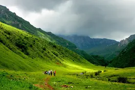 甘肃的荒野旱地之上，有一种蓬蓬草，将它烧成灰后有一个特殊作用图片