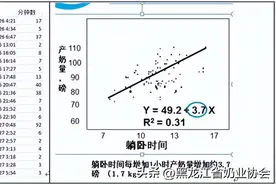 奶牛再生垫料卧床管理图片