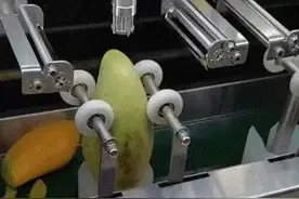 全自动芒果削皮机，看了它的工作方式和效率，还有生产的必要吗？图片