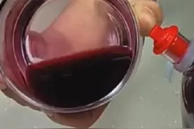 手把手教你制作桑葚酒的做法，酸酸甜甜，存上两个月，口感极佳图片