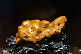 葡萄架下不起眼的烂石头，被老板看中，结果卖了188万图片