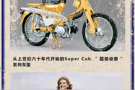 本田幼兽明年很可能引进国产，网友：本尊终于来了…图片