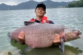 复盘王春阳象山钓鱼被打事件，邓刚说要追究到底为何当晚就和解？图片