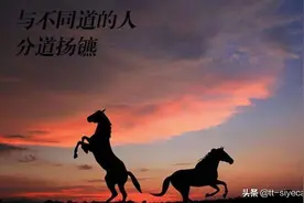 跨境电商合伙之殇，亲人变仇人图片