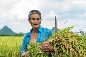 农村其实办理五保非常简单，只要硬性条件符合，就能办理下来图片