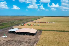 非洲工人懒不懒？莫桑比克农场的中国经理讲述自己的故事图片