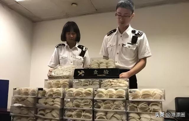 花胶是海关禁运么 2026年花胶能过海关吗