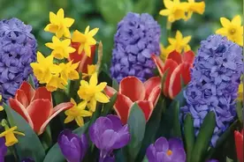 一个妻子的“无情”：丈夫住院八天，只负责给他送饭，别的都不管图片