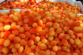 这种“水果”放冰箱俩月都不坏？网友：景区里的智商税TA排第一图片