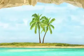 手机壁纸｜自然风景｜椰风海韵｜椰子树图片