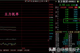 东方集团：主力为什么不封跌停，那今天是洗盘，还是出货？图片