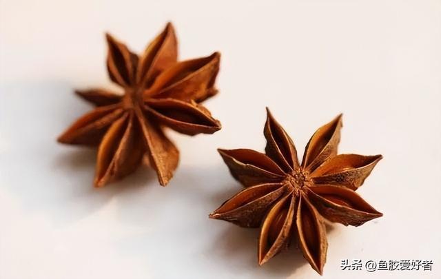 花胶怎么保存不长虫 2026年花胶怎么存放不会长虫