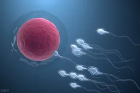 养精干货：如何调养强壮的小蝌蚪（超多研究数据）图片