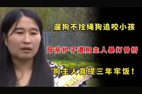 两恶犬不拴绳追咬孩子，妈妈护子惨遭暴打！狗主人喜提三年牢饭图片