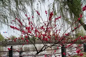 有些地方今年绩效奖金按月发放了，没发的2021年绩效奖金还有吗？图片