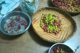 绿萝竟有个“小机关”！打开它，立马疯长拦不住图片