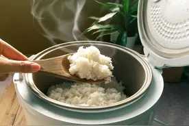 吃“冷米饭”就能减肥？关于抗性淀粉，你必须知道的事儿图片