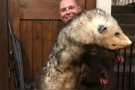 原子弹都杀不死的动物，堪称世界最强？它杀死的人类比战争还多！图片