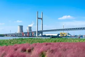 万万没想到，黄浦江上这座名不见经传的大桥，成了上海网红打卡地图片