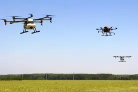 小麦缩节药什么时候喷最好？最优秀的“缩节”药剂是什么图片