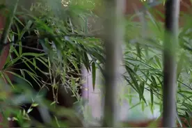 滇池西岸的「慢生活」，西山人专属的周末放松方式在这里图片