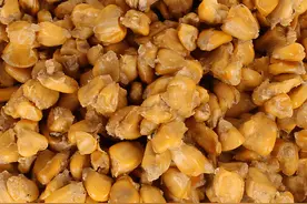 老坛玉米的2种新用法，诱钓效果更好，你确定不来试试？图片