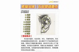 五张图让你快速理解五官｜五官结构干货图片