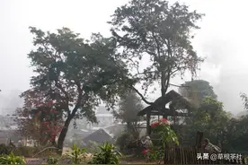 知青往事：在景洪当知青的那十年，我最难忘的是返城前的那段日子图片