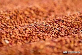 酱香酒和浓香酒的区别？二者占据市场大半壁江山，究竟有何不同图片