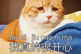 无奈表情包大全｜请查收图片