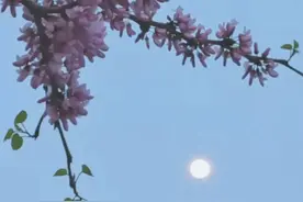 拍花用好这31招，瞬间提升画面质感！（影展点评第504期）图片