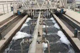 临潼区：让城市更精致 让乡村更美丽图片