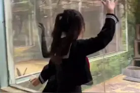 南宁动物园多种动物意外走红：鹤与人共舞，长臂猿与游客赛跑图片