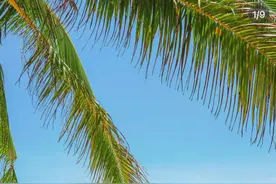 带娃去海边的文案 | ☀️阳光，沙滩，海浪，吹吹海风🏖️图片