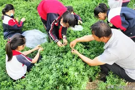 酒泉：在“行走的课堂”中成长图片