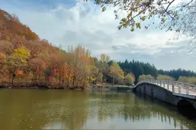 适合自己生日低调的高级文案图片