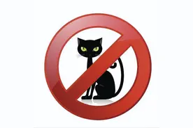 这些猫，已被公布“禁养”，谁买谁是大冤种图片