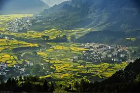 “五物进家门，吉祥又好运”，这5种动物进家不能赶，更不能打死图片