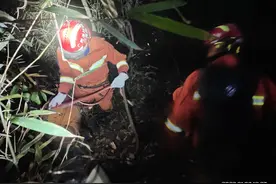 救援丨男子采蜜跌落山崖 消防3小时紧急救人图片