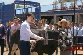 正午阳光再出爆剧，央视播出，收视率逼近2.0，全员演技“炸裂”图片