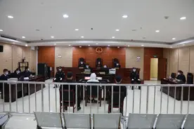 广西钦州检察院原检察长林俊受贿案开庭图片