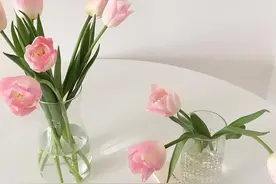 你的长相，就是你的“命运”图片