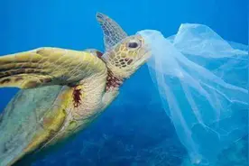 霍金的预言，有可能在未来被验证？人类粪便中已发现塑料微颗粒图片